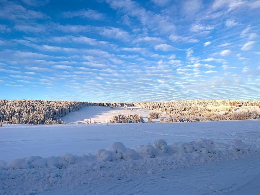 Ubytovani V Sumavskem Dome Нове-Хуте Экстерьер фото